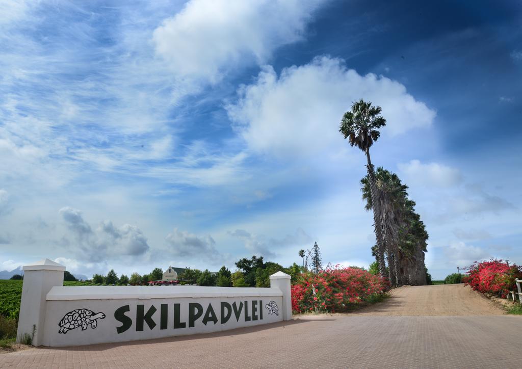 Skilpadvlei Wine Farm Stellenbosch Exterior foto